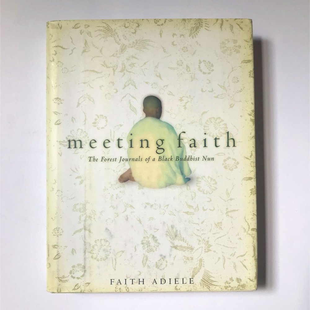 Meeting Faith by Faith Adiele
